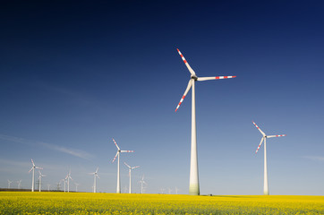 Renewable energy from rape oil biofuels and wind turbines