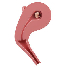 3d rendered medically accurate illustration of a fetus inside of an uterus - week 8