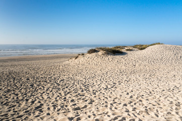 Sand dunes in Praia da Tocha, Portugal