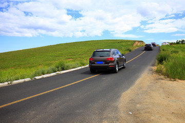 Obraz na płótnie Canvas asphalt road on grassland
