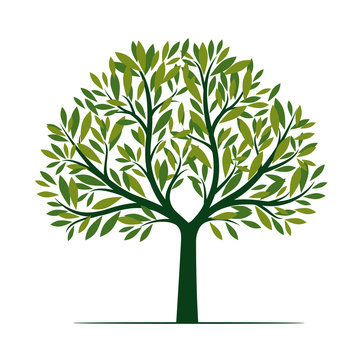 Green Tree with Leaves. Vector Illustration.