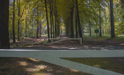 Dutch Nature in Amsterdam, the Netherlands