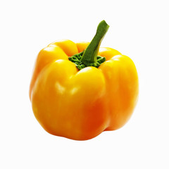 Orange pepper on white background