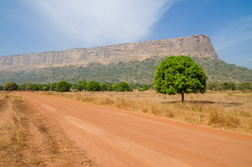 Red dirt and gravel road, single trees and large flat topped mountain in Fouta Djalon region, Guinea, West Africa