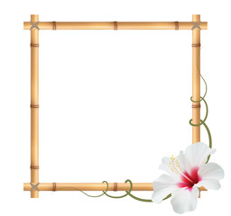 Realistic bamboo frame with hibiscus flower.