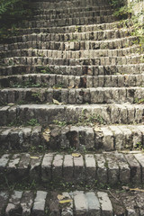 Old stone staircase made of small bricks. Beautiful details and greenery around every step. - 175477048