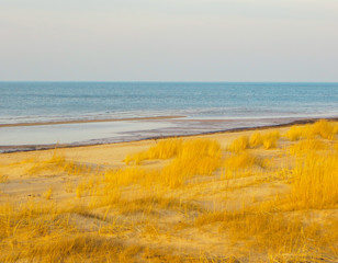 Fototapeta na wymiar View of the beach on the shore of the Gulf of Riga in Vecaki.Baltic Sea, Latvia, Europe