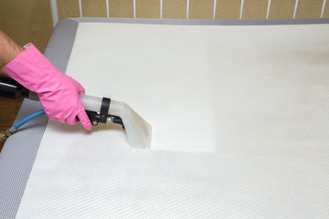 Mattress or bed chemical cleaning with professionally extraction method. Hand in rubber protective...