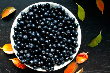 Aronia gesunde Beeren