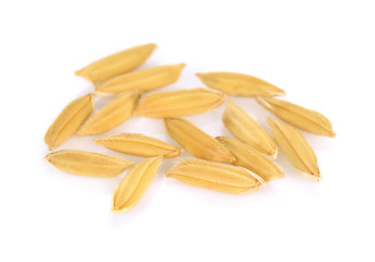 rice grains  isolated on white background