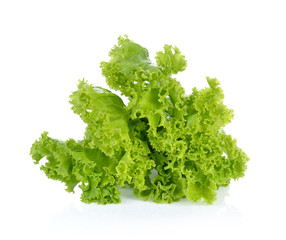 fresh lettuce leaves isolated on white background.