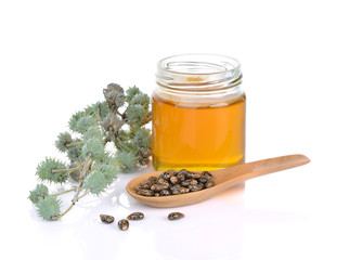 Castor oil with castor fruits, seeds on white background