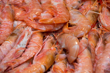 Closeup of shrimps for sale on a fish market