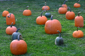 Pumpkins at Grandma's