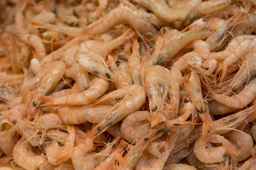 Closeup of shrimps for sale on a fish market