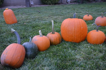 Pumpkins at Grandma's