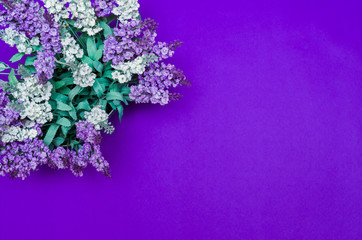 Flor de lavanda em fundo roxo com copy space