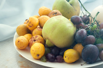 Quince, grapes, apples and plums on a white plate. Retro filter