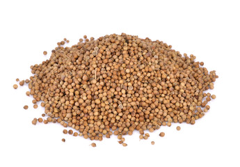Pile of coriander seeds on white background