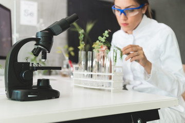 Biologist working in laboratory