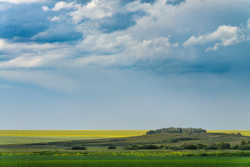 Fototapeta premium Green and yellow fields under the beatiful dramatic clouds