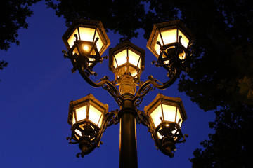 Fototapeta na wymiar street light in the dark blue night