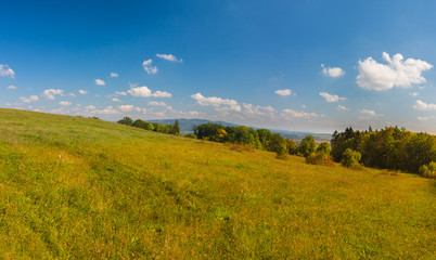 Naklejka premium Vibrant summer meadow with azure sky