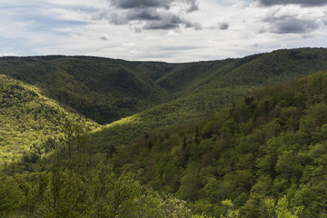 Scenic view of trees on mountains, Cabot Trail, Cape Breton Highlands National Park, Cape Breton Island, Nova Scotia, Canada