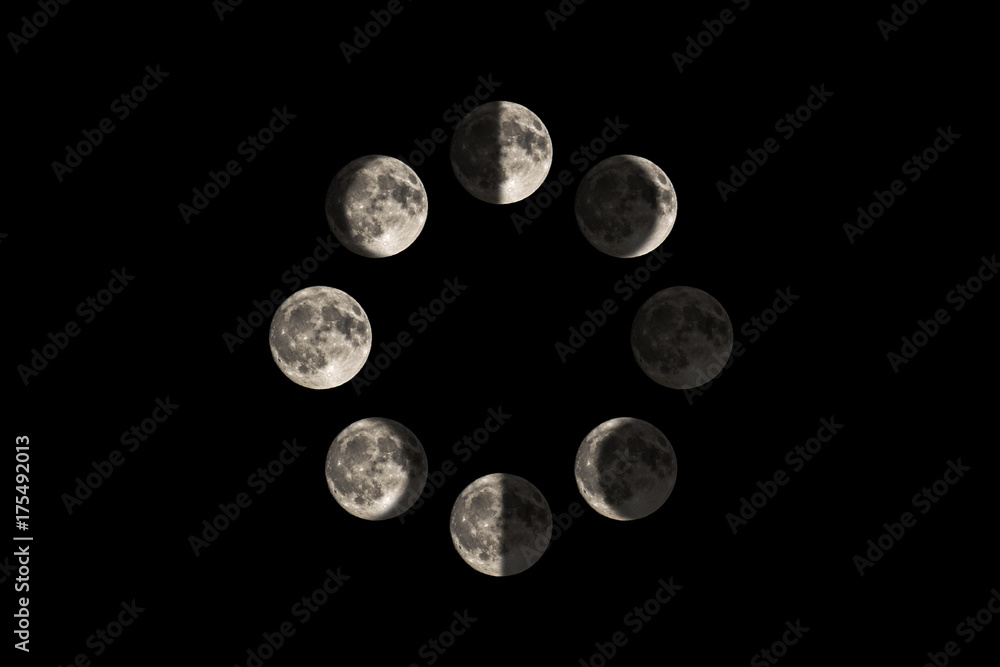 Wall mural images of the moon in each major lunar phase, in a circle diagram