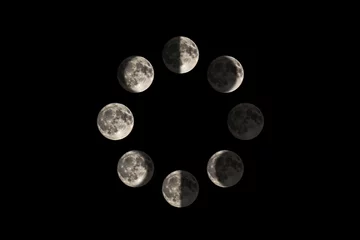 Bilder des Mondes in jeder großen Mondphase in einem Kreisdiagramm © Rachel Lerch