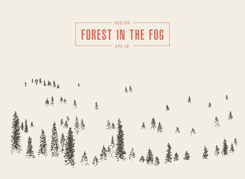 Misty fog pine forest mountain vector drawn sketch