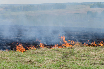 fire burning dry grass