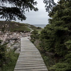 Boardwalk at coast, Ingonish, Cape Breton Island, Nova Scotia, Canada