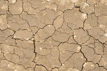 Texture of dry cracked ground