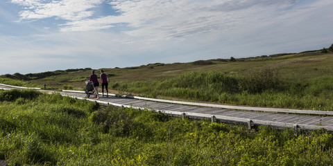 Family walking on boardwalk in landscape, Inverness, Mabou, Cape Breton Island, Nova Scotia, Canada