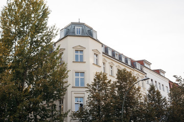corner building framed by trees