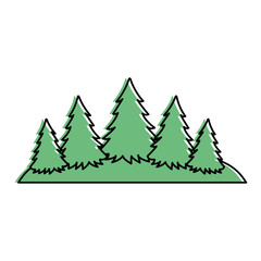 Obraz premium Pine forest scene silhouette