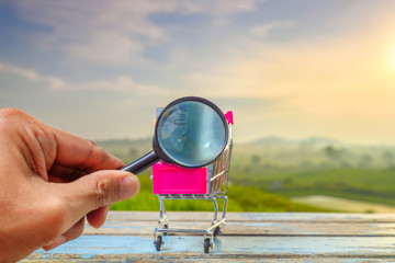Man is holding magnifying glass and shopping cart with money on wooden table in the beautiful sunrise as background