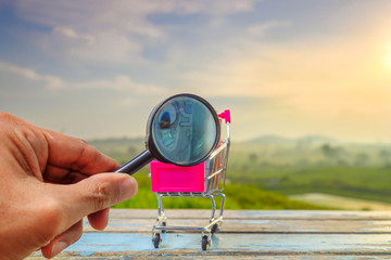 Man is holding magnifying glass and shopping cart with money on wooden table in the beautiful sunrise as background