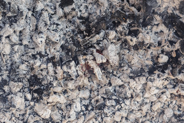 coal and wood ash burning in an oven