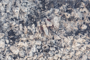 coal and wood ash burning in an oven