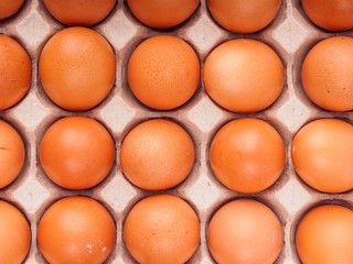 brown chicken eggs in carton