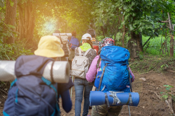 Group tourists hiking on sunny days. subject is blurred.