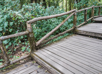 Wooden bridge in the nature trail.