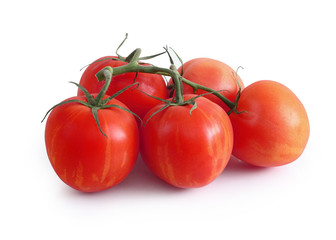 five tomatoes isolated on white background