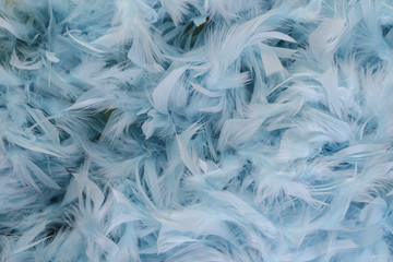 artificial blue feathersartificial blue feathers