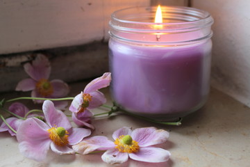 Pink flowers and purple lit candle on old shabby background on an cozy autumn day. Blurred background
