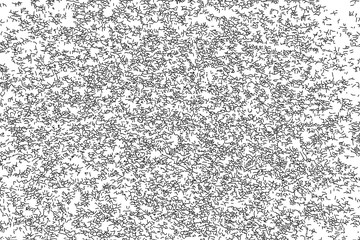 Distressed halftone grunge black and white vector illustration texture - bark beetle plaster on the wall background for creation abstract vintage effect with noise and grain.