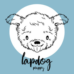 lapdog head isolated on white background. Vector illustration, design element for cards, banners and other
