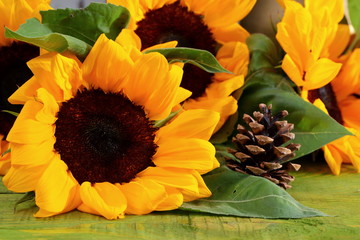 Sunflowers at the end of summer.